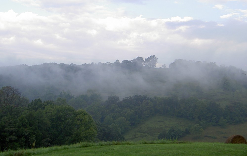 Compassionate Voices For Nature